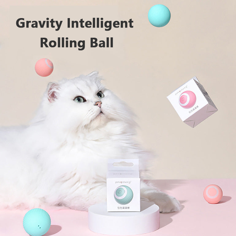 Interactive Pets Rolling Ball – Gravity-Activated Smart Teaser Toy